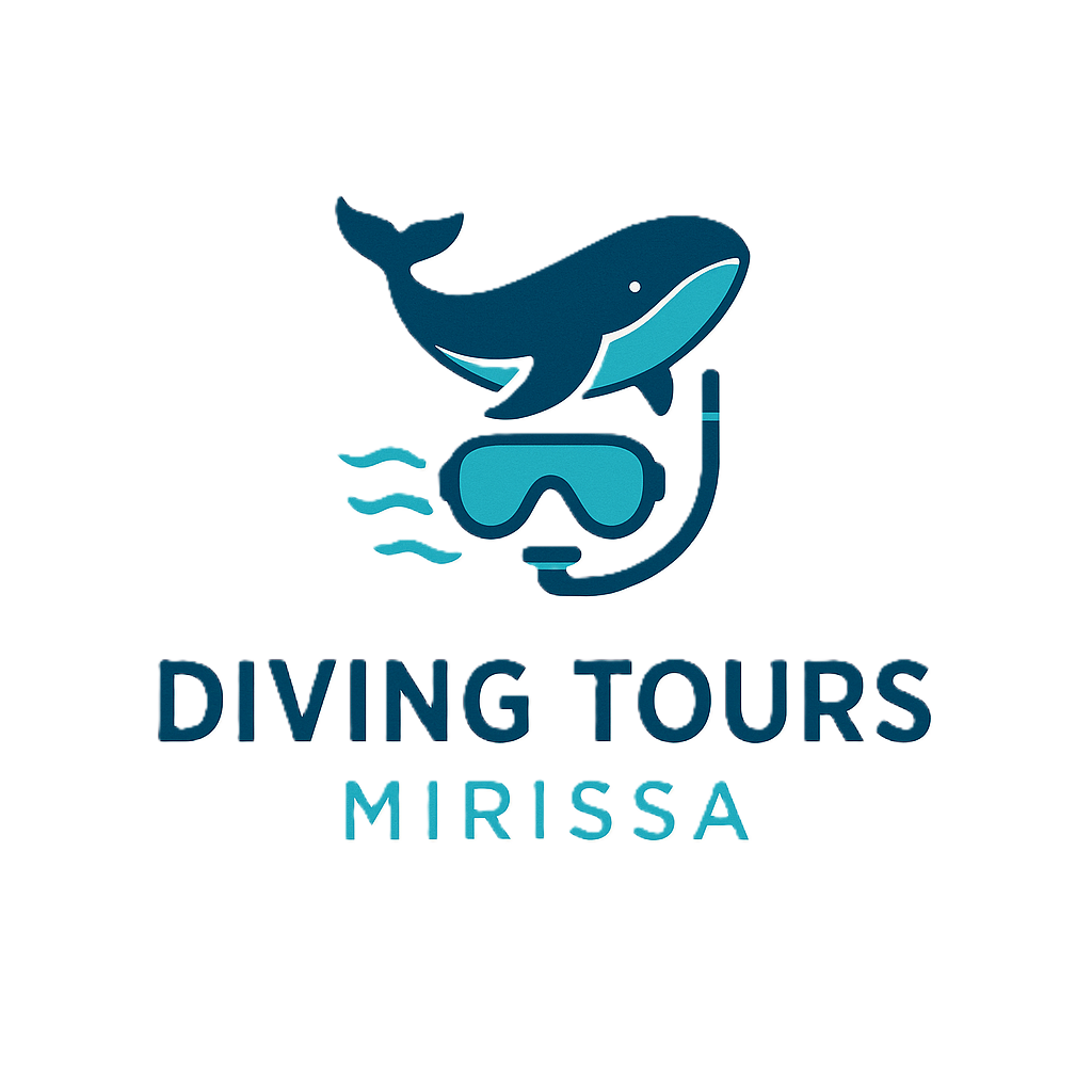 Diving Tours Mirissa