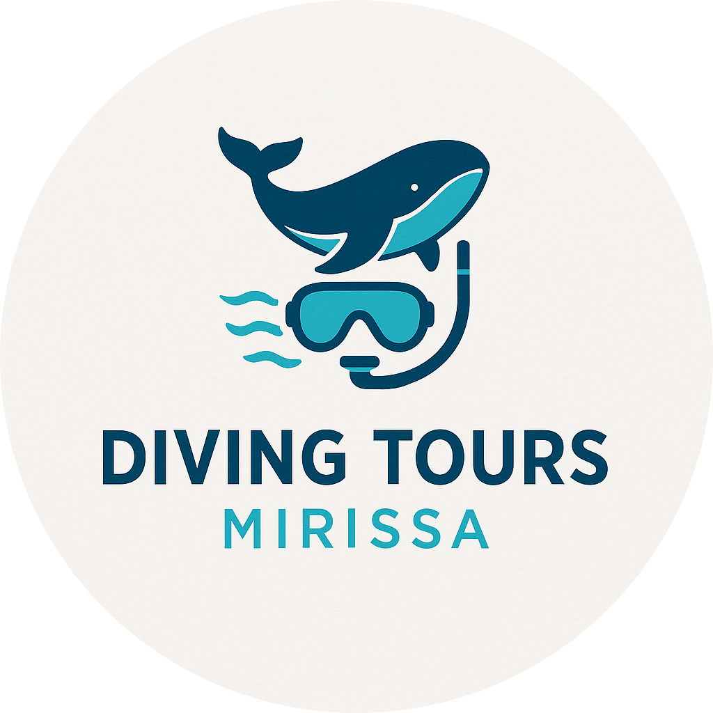 Diving Tours Mirissa